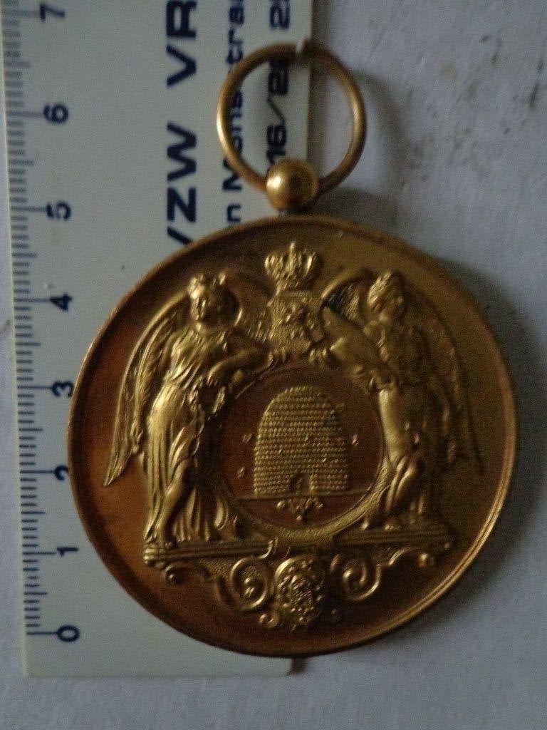 vergulde bronzen penning Mutualistenlanddag 1914, Ophalen of Verzenden, Brons