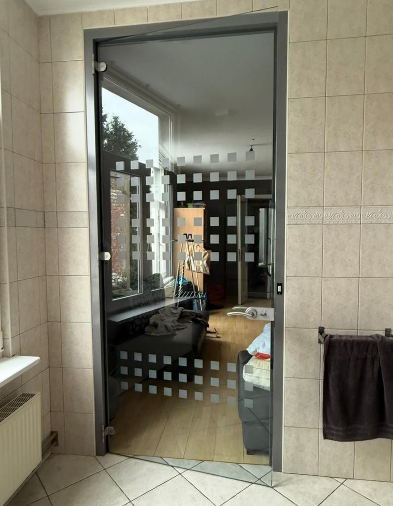 Glazen Deur met aluminium kader, Doe-het-zelf en Bouw, Deuren en Vliegenramen, Ophalen, Zo goed als nieuw