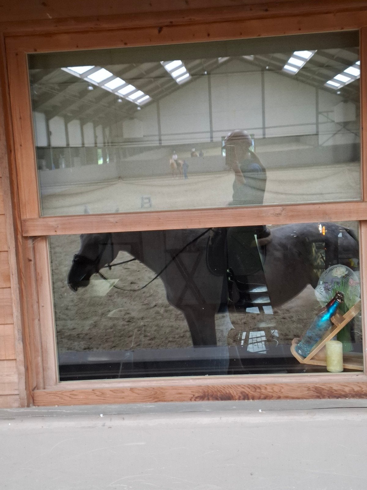 Op zoek naar paard