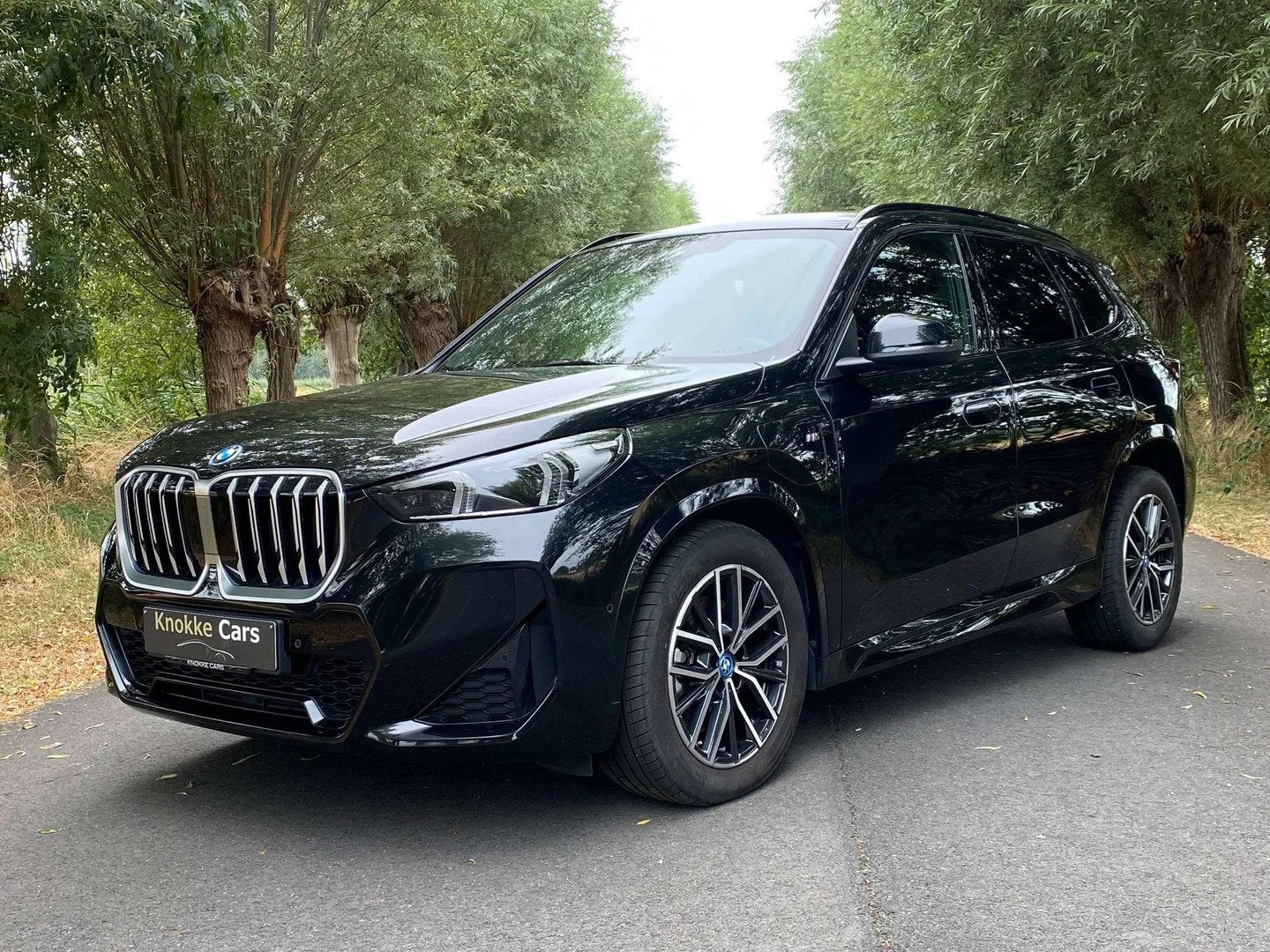 BMW X1 Verkocht,Sold,Vendu (automatique), 2430 kg, Achat, Entreprise, Alcantara