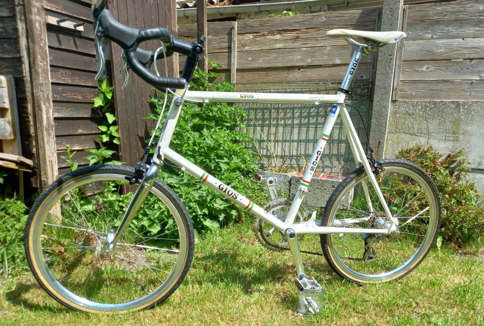 Gios Antico, Enlèvement