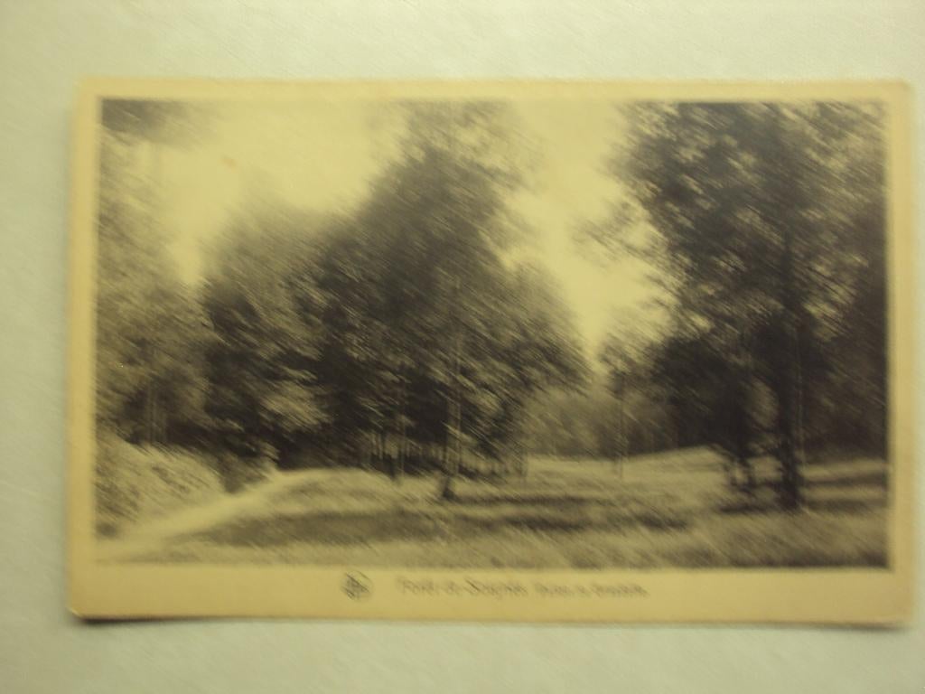 55478 - FORET DE SOIGNES - VALLON DE GRASDELLE - 2 FOTO'S, Envoi