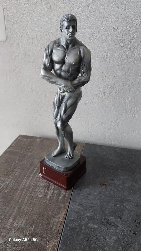 Trophée, Antiquités & Art, Enlèvement