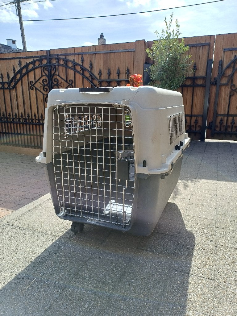 Hondenbench, Dieren en Toebehoren, Ophalen, Gebruikt