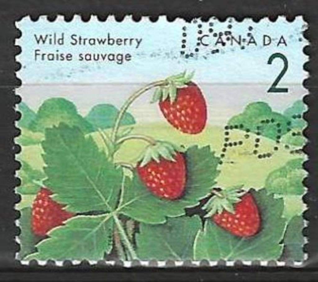 Canada 1992 - Yvert 1263 - Fruits sauvages - Fraises (ST), Envoi, Affranchi