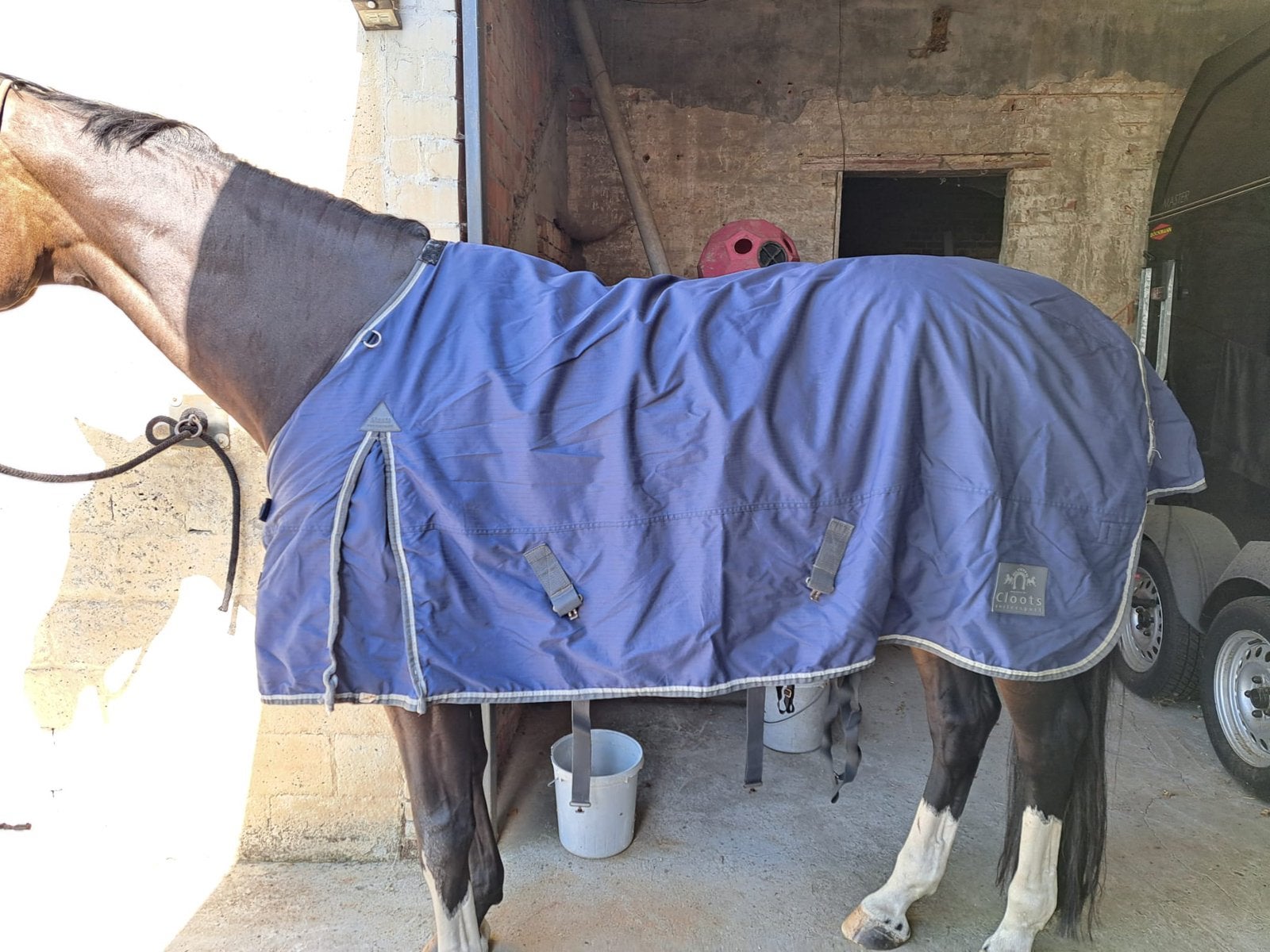 Paardendekens maat 205, ook pony 135, Ophalen, Zo goed als nieuw