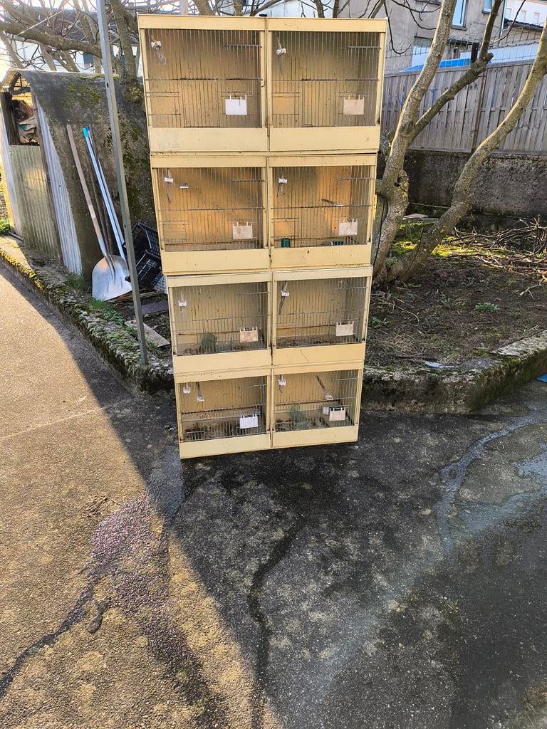 Cage pvc, Enlèvement ou Envoi