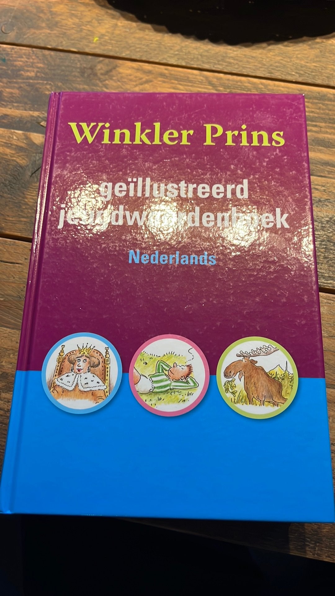 Boek: jeugdwoordenboek 5€, Livres, Dictionnaires, Enlèvement, Utilisé, Autres éditeurs, Néerlandais