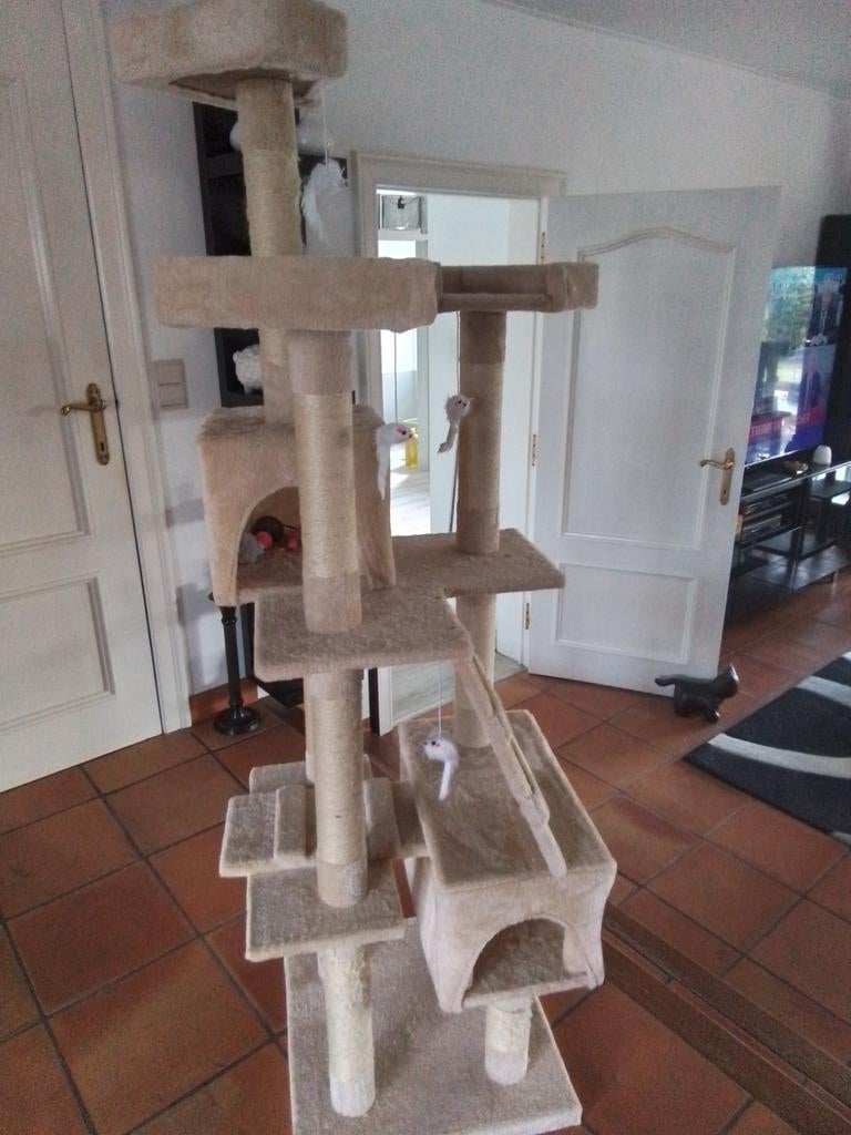 Arbre à chats haut.170cm, base 50x50cm, Enlèvement