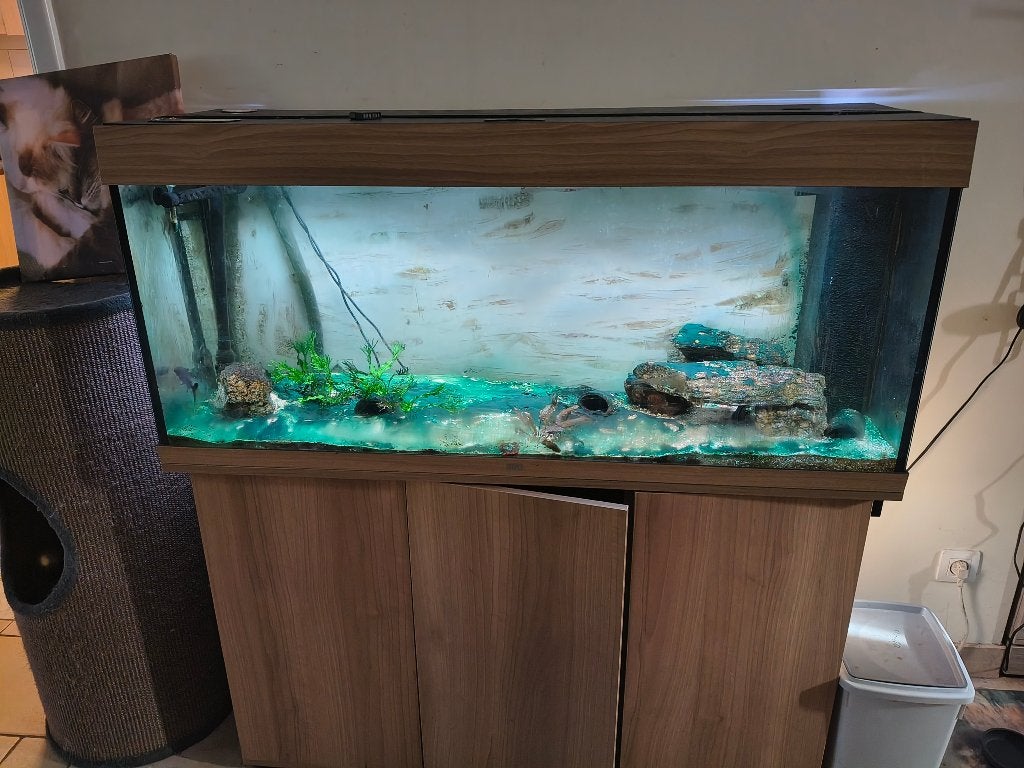 Juwel Rio 240 met meubel en 2 externe filters en verwarming, Animaux & Accessoires, Poissons | Aquariums & Accessoires, Enlèvement