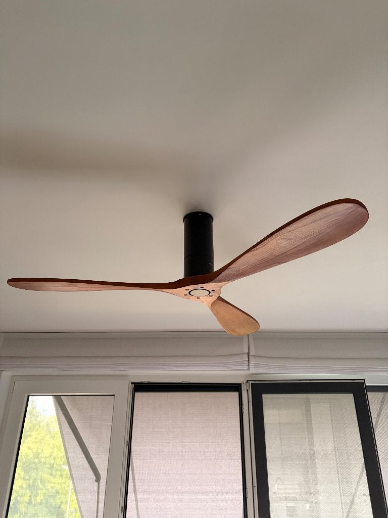 Ensemble de plafonniers et ventilateur de plafond, Enlèvement, Comme neuf