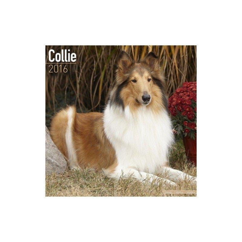 Calendrier Colley 2016, Enlèvement ou Envoi, Calendrier annuel, Neuf