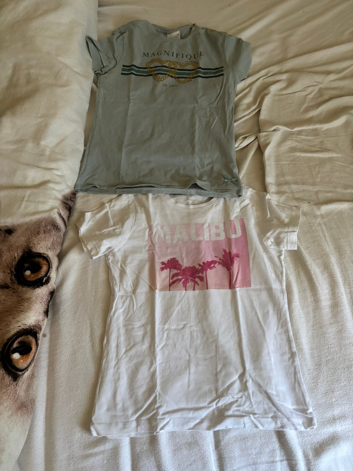 T-shirts, Ophalen, Zo goed als nieuw, Groen