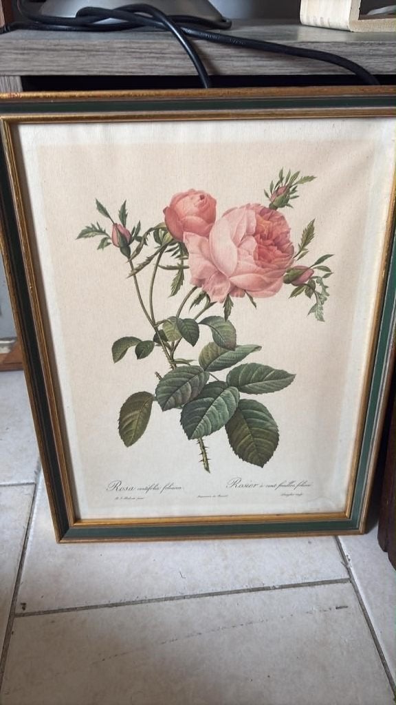 TABLEAU, Enlèvement, Sous verre, Fleurs