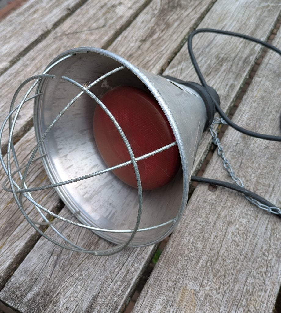 warmtelamp, Dieren en Toebehoren, Stalling en Weidegang