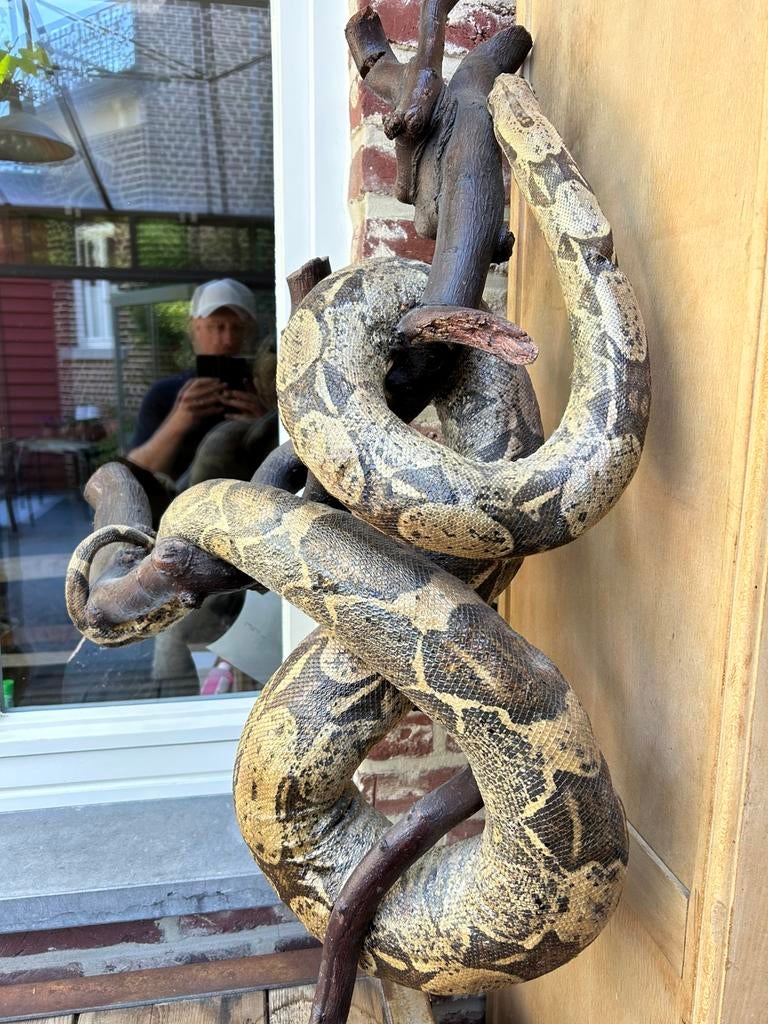 Opgezette netpython, Ophalen