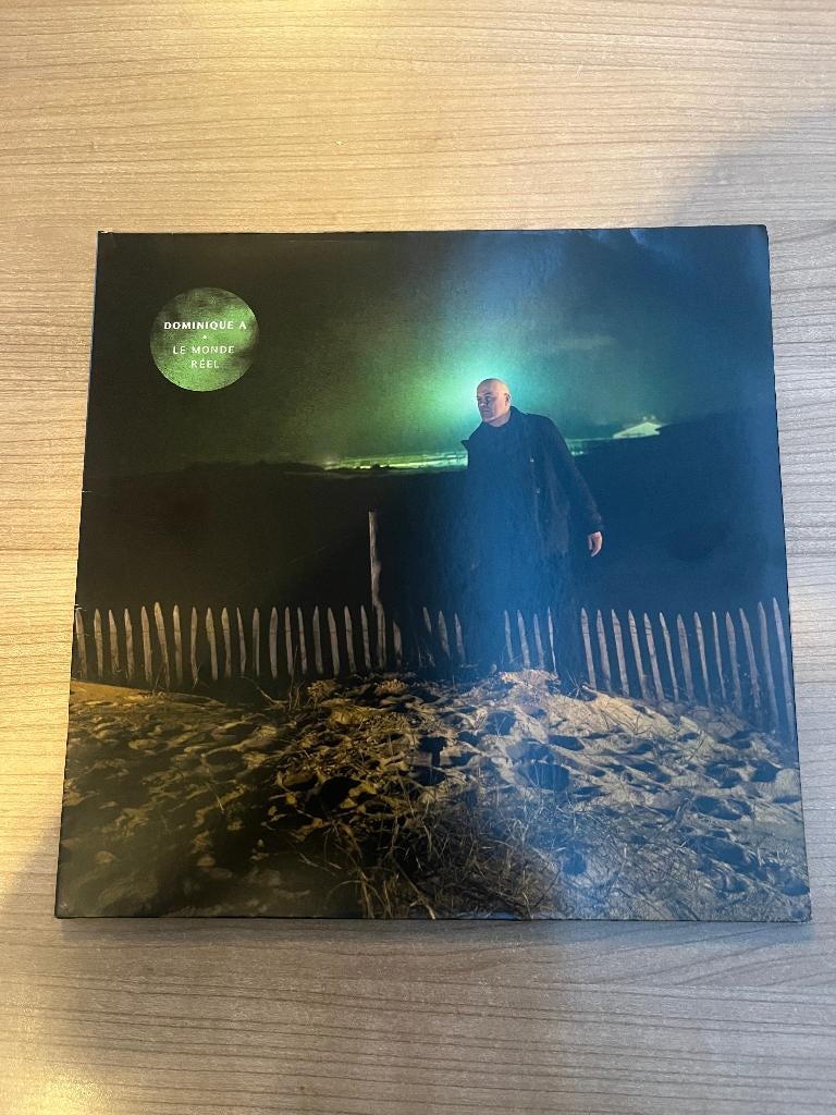 DOMINIQUE A - LE MONDE REEL, Cd's en Dvd's, Vinyl | Rock, Zo goed als nieuw, Beschermende buitenhoes, Singer-songwriter, 2010 - 2019