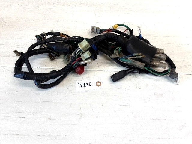 ZZR1400 2005 - 2011 Kawasaki Kabelboom D1-50639