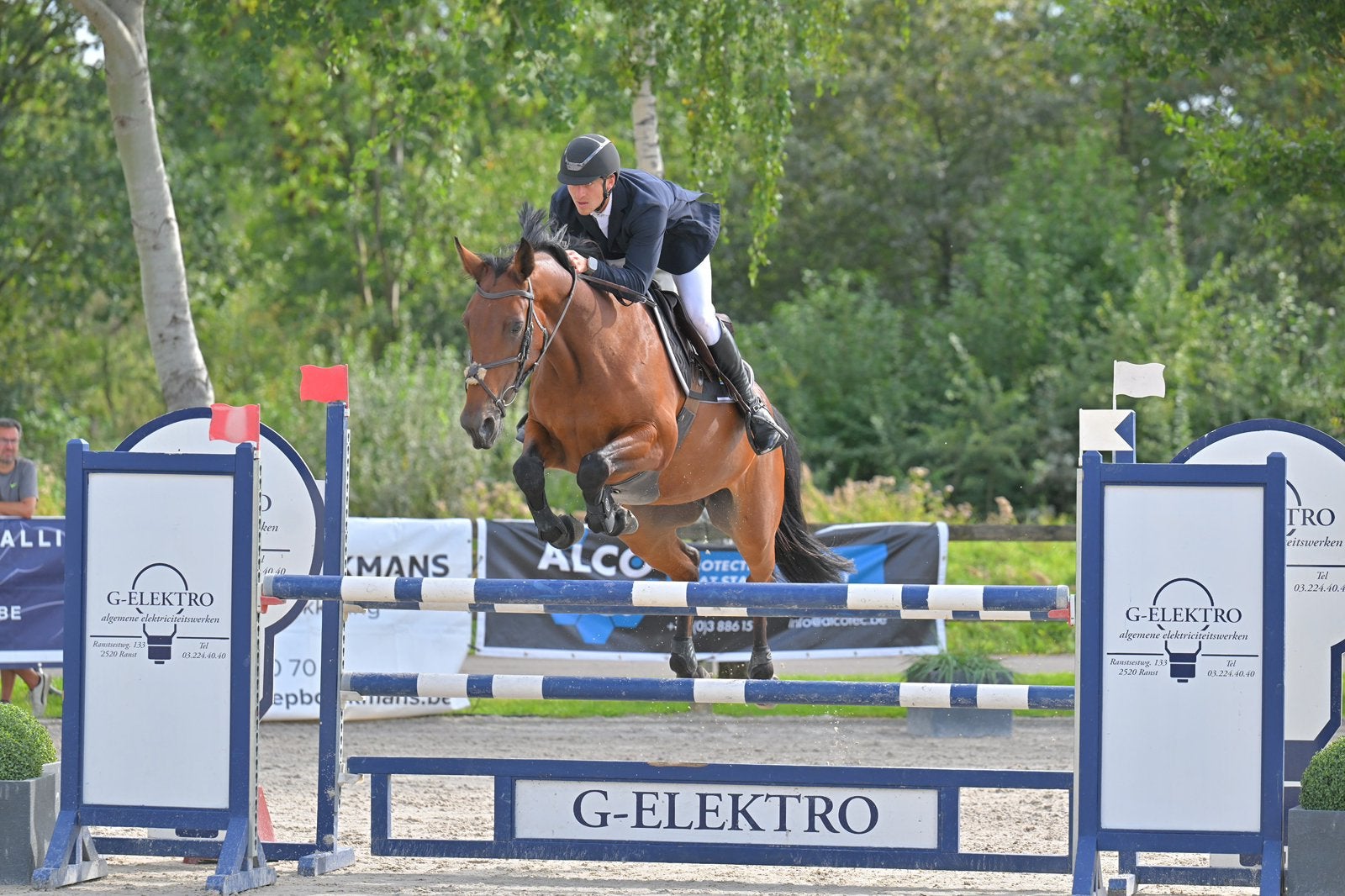 Kwaliteitsvolle super brave springmerrie, Avec pedigree, M, 160 à 165 cm, Cheval de saut