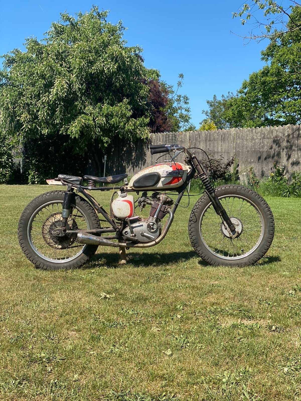 Triumph tiger cub dirt tracker survivor