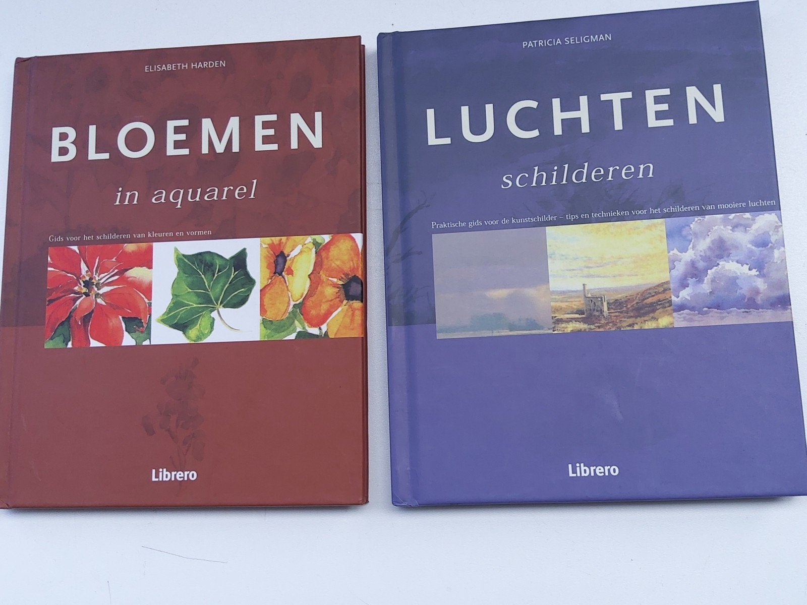 Aquarelleren: 2 praktische schildergidsen. Prijs /stuk, Hobby en Vrije tijd, Ophalen of Verzenden, Zo goed als nieuw, Waterverf