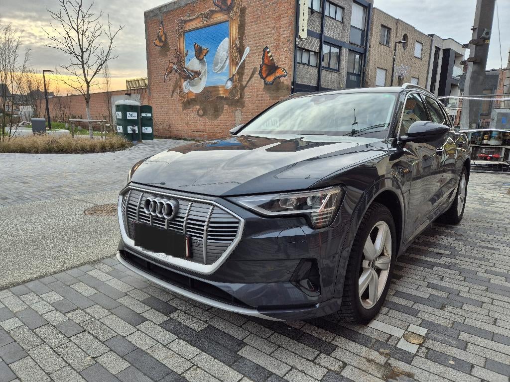 Audi e-tron, Autos, Cuir, Argent ou Gris, Achat, Euro 6