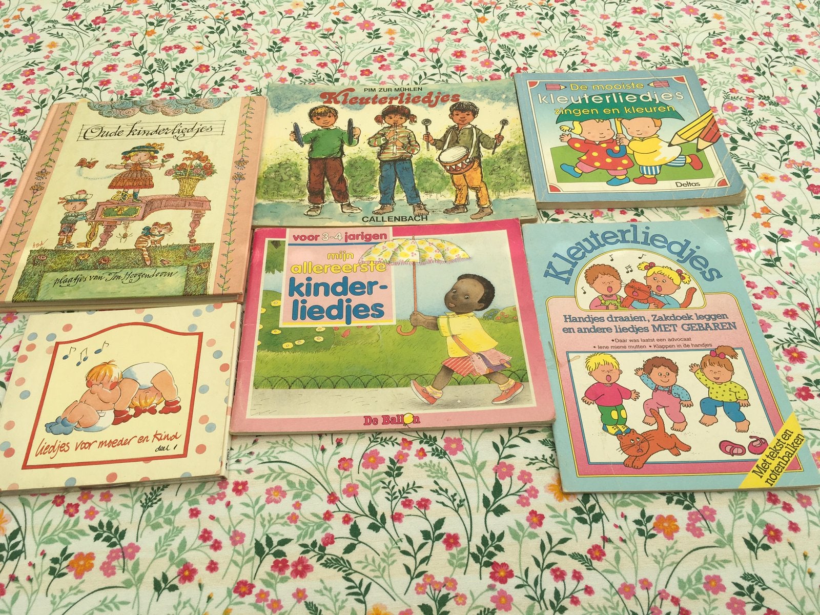 Boekjes & CD - kinderliedjes, Ophalen, Zo goed als nieuw, Jongen of Meisje, 4 jaar