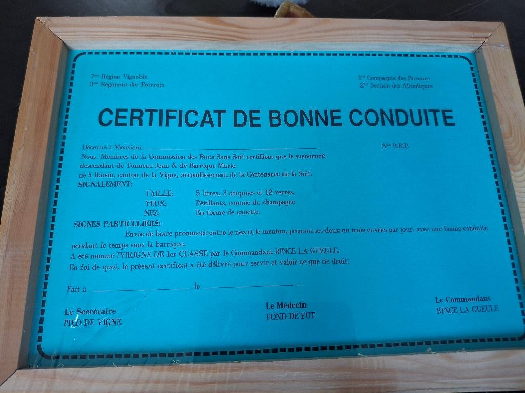 Diplôme humoristique personnalisé avec cadre, Ophalen of Verzenden, Nieuw