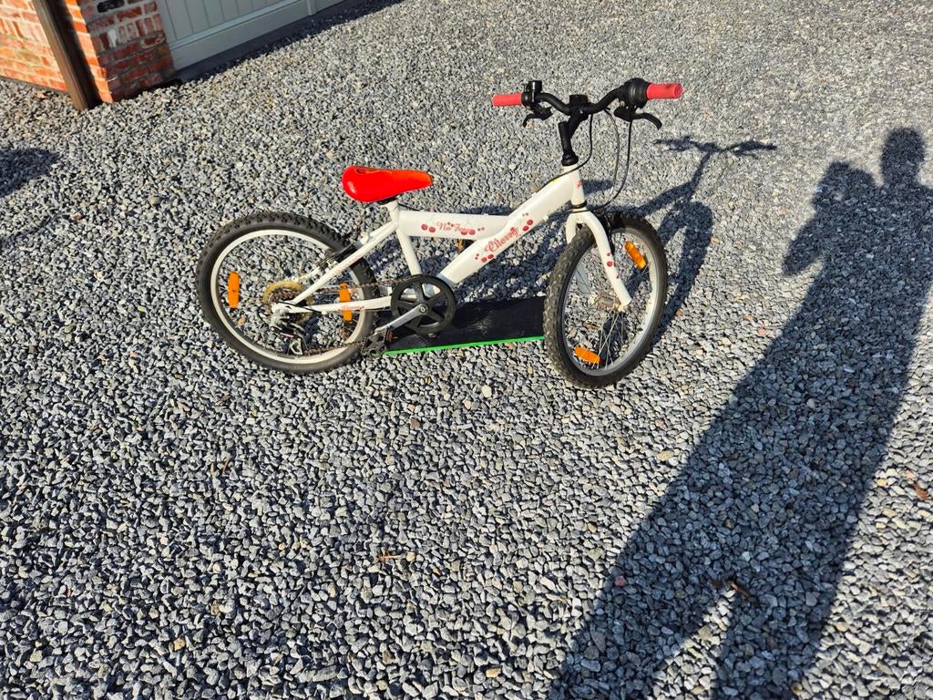 Vélo vtt pour enfants, Enlèvement