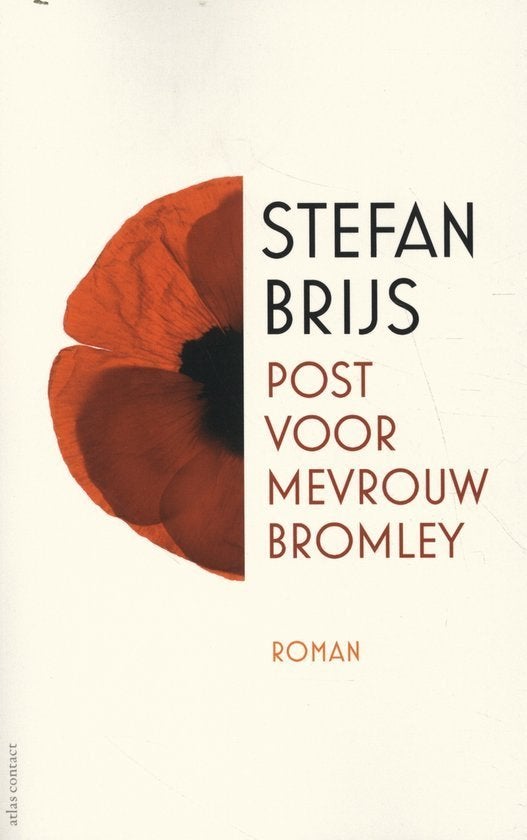 Stefan Brijs  / keuze uit 2 boeken, Boeken, Ophalen of Verzenden, Zo goed als nieuw
