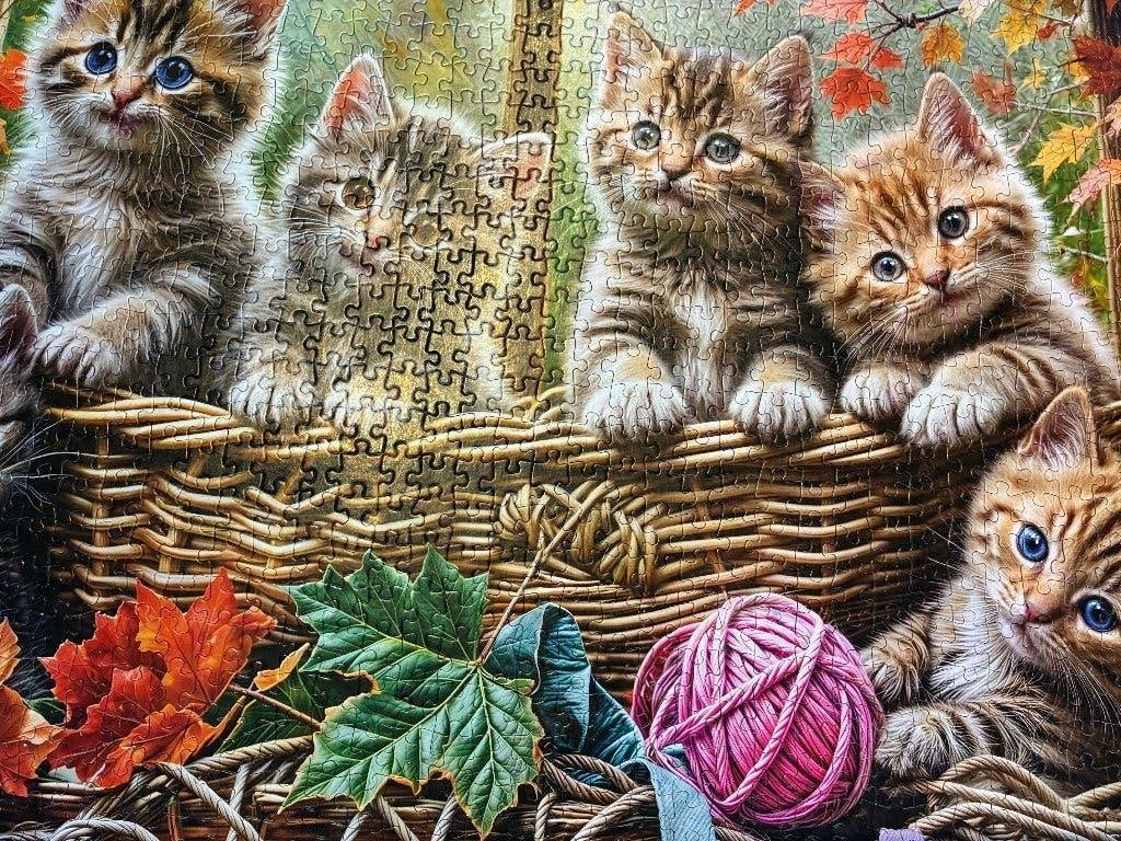 Legpuzzel van 1000 stukjes: Kittens in a Basket - Jumbo, Ophalen of Verzenden, 500 t/m 1500 stukjes, Zo goed als nieuw, Legpuzzel
