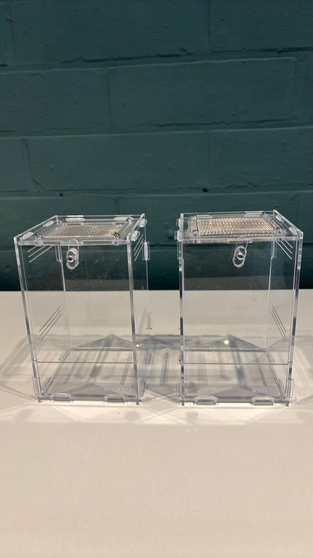 Repto Terra Clear 11,5x10x16,5cm PER STUK!!!, Animaux & Accessoires, Reptiles & Amphibiens | Accessoires, Enlèvement, Terrarium ou Paludarium