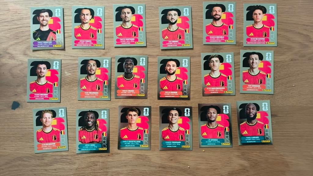 Panini World cup 2026