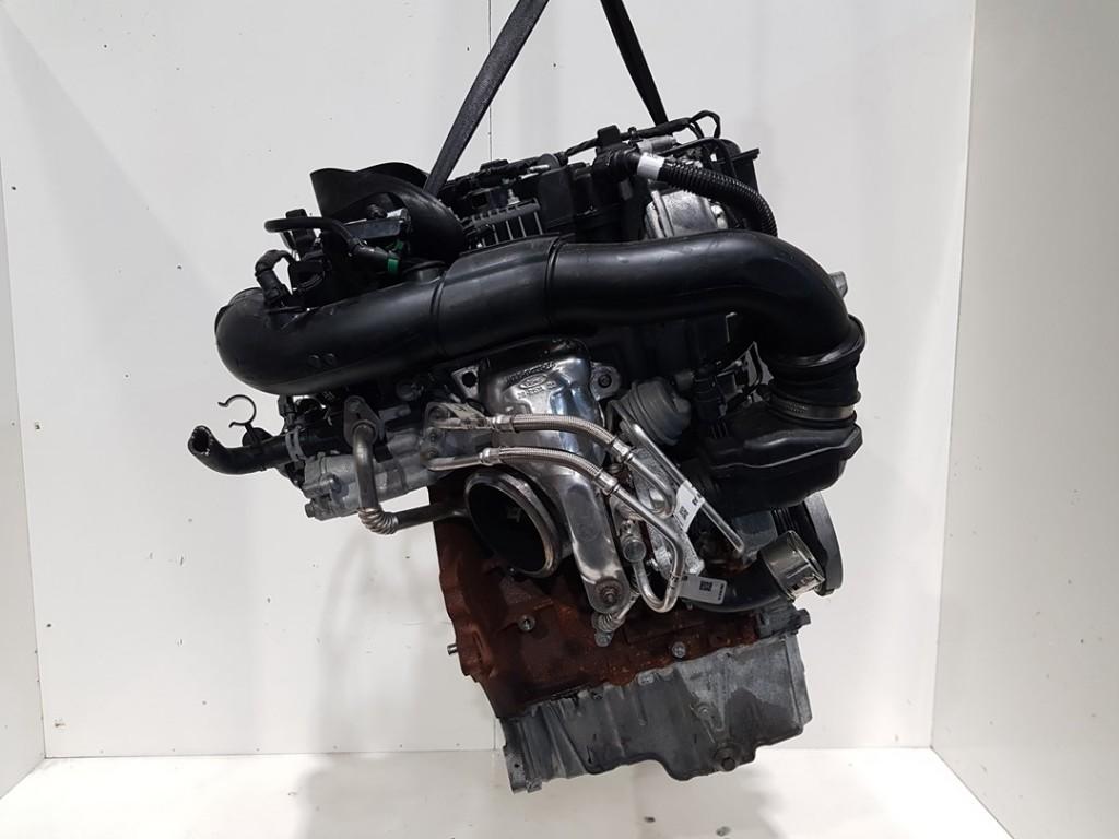 MOTOR Ford Puma (|2665303|N1BG6006TA|2521465|N1BG6006JA|), Dhr. J. Ham, Gebruikt, Administratie@autoham.nl, Ford