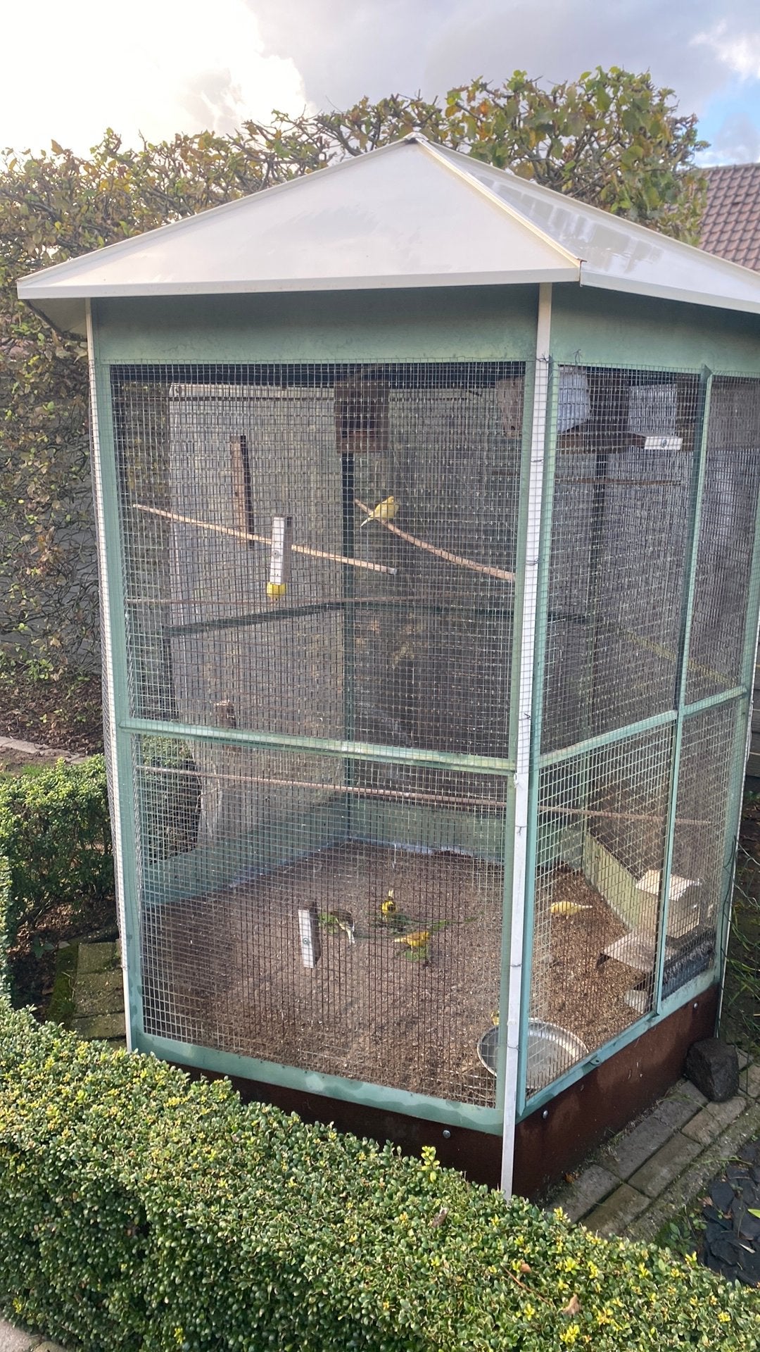 Cage à oiseaux, Enlèvement, Comme neuf, Cage à oiseaux