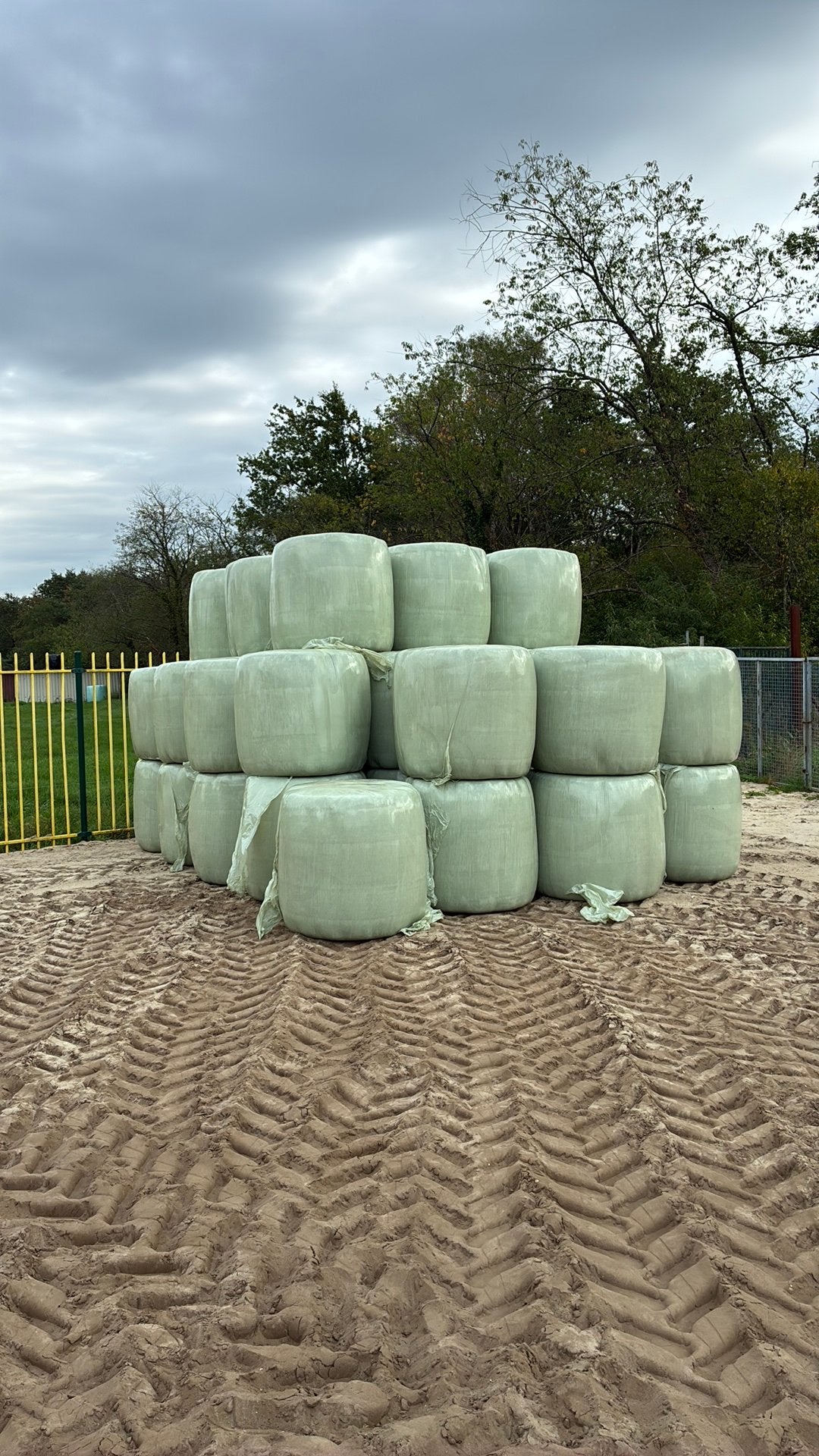 2de snee droog hooi midi balen(levering mogelijk), Dieren en Toebehoren, Ophalen