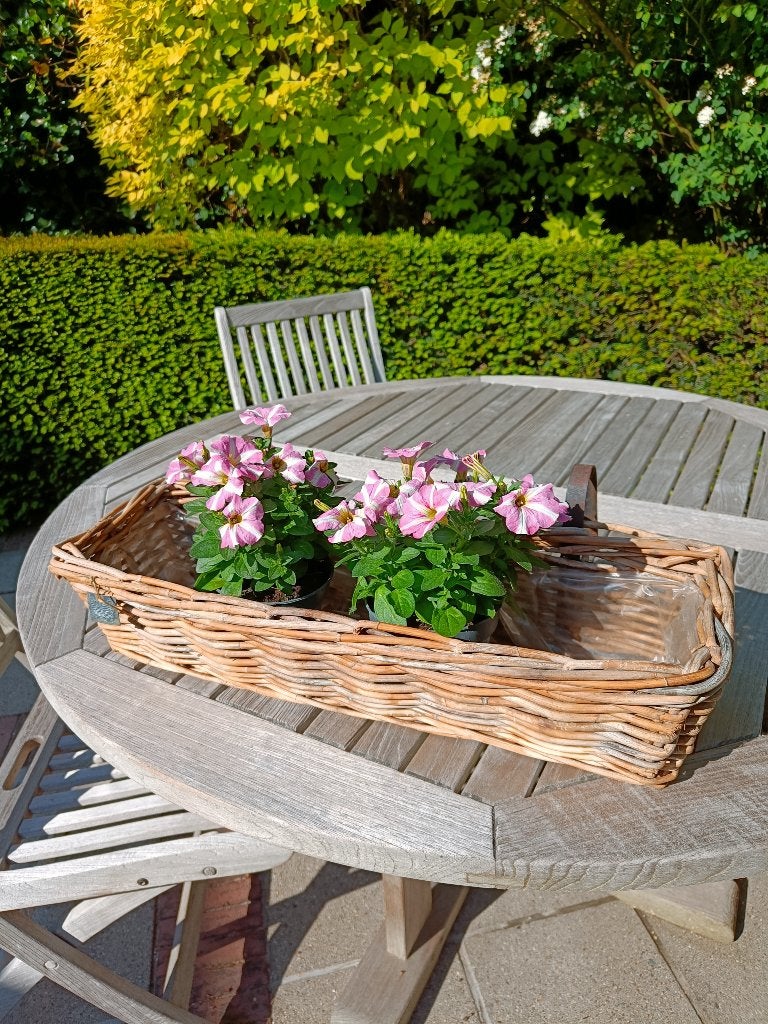 Bloemenhangkorf, Tuin en Terras, Ophalen, Overige materialen, Minder dan 30 cm, Minder dan 60 cm