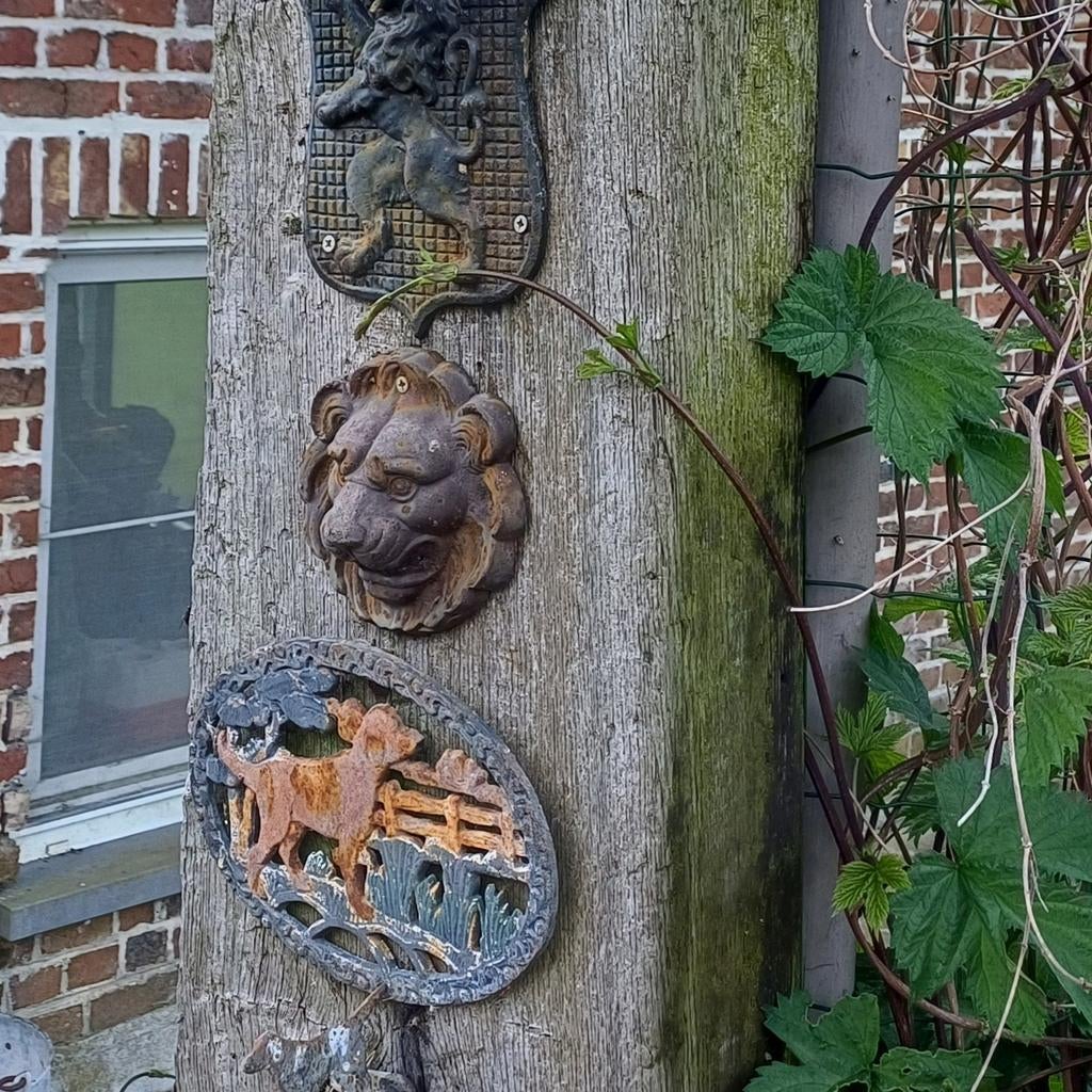 LEEUWENKOP, Tuin en Terras, Ophalen