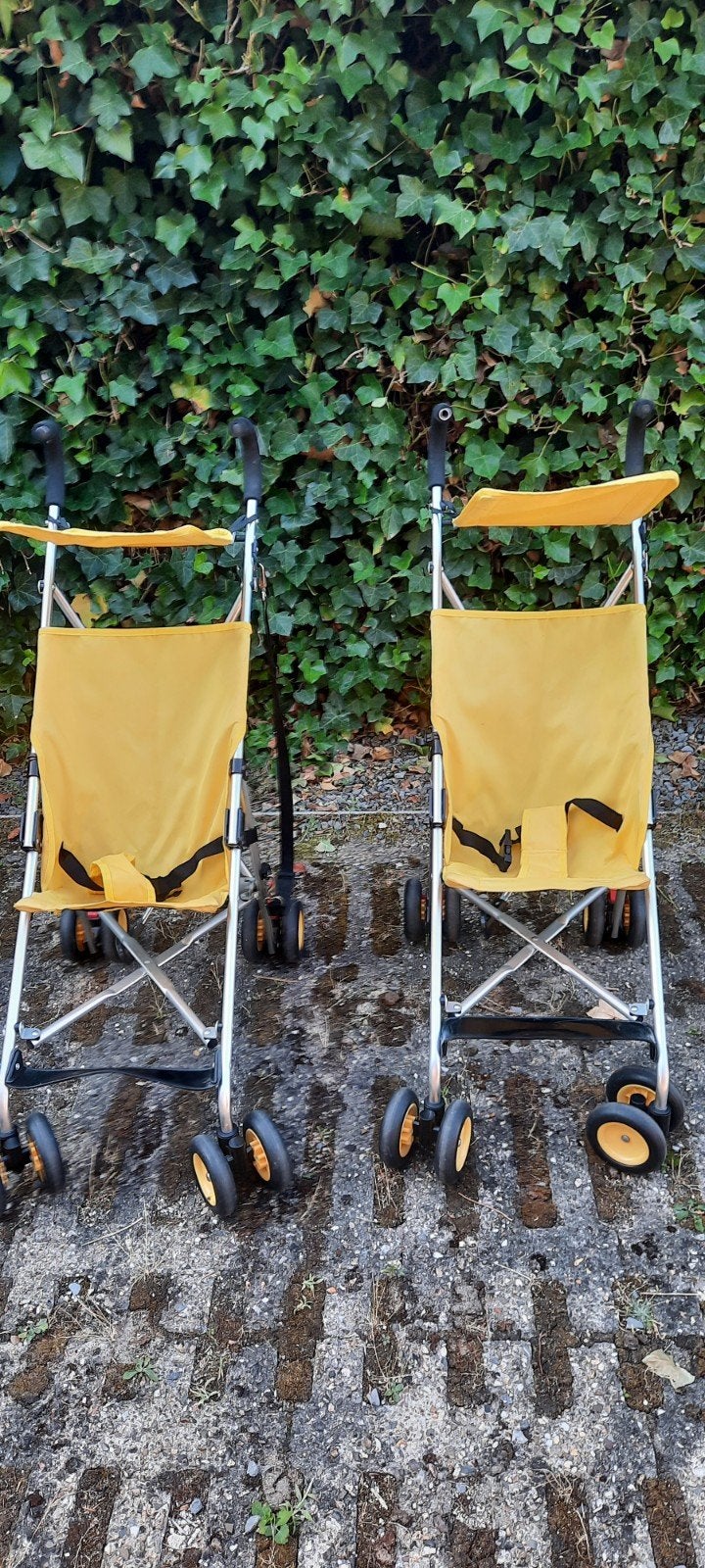 Buggys légers, Enlèvement