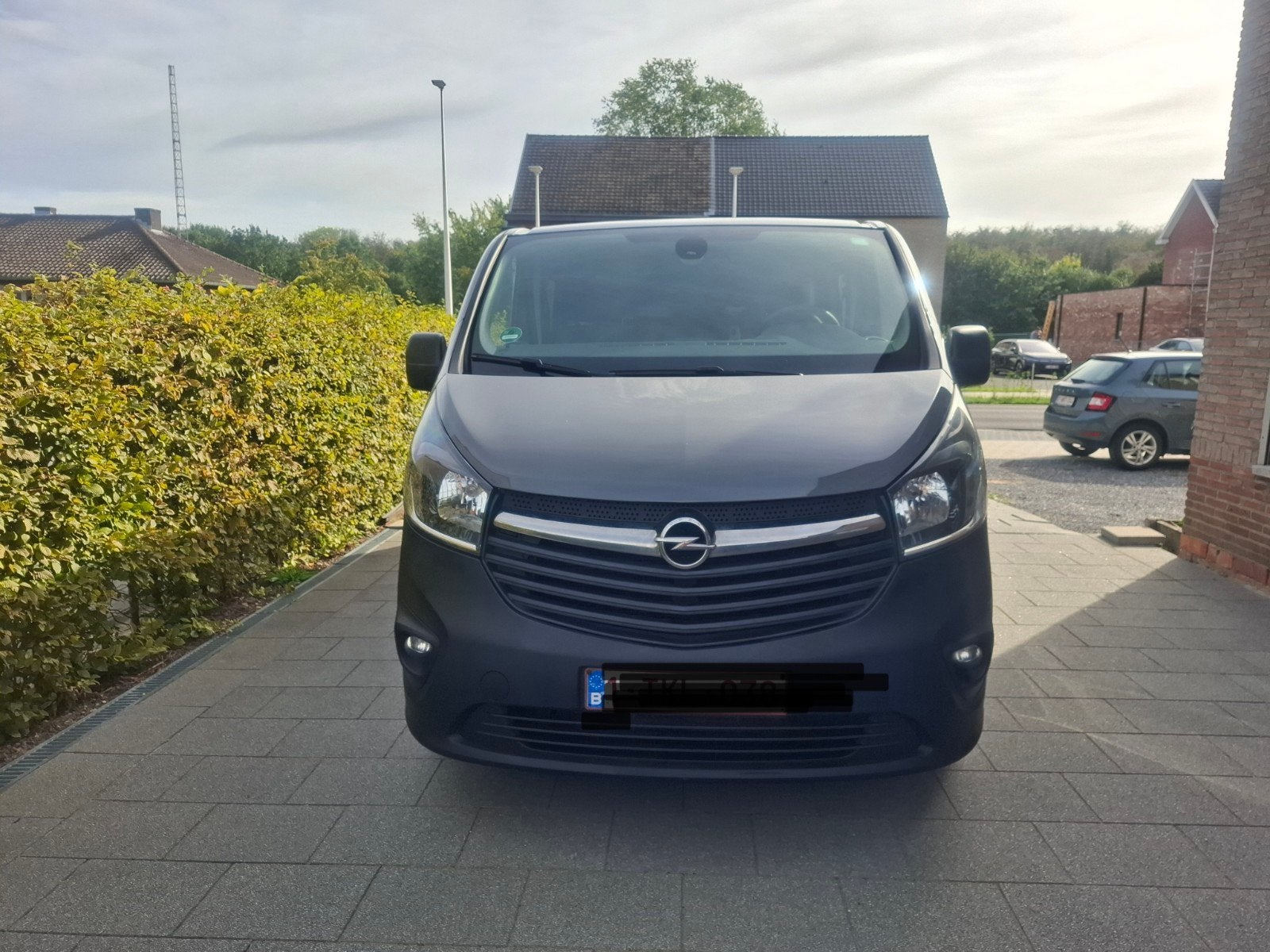 Opel vivaro, Auto's, Stof, Euro 6, 4 cilinders, 89 kW