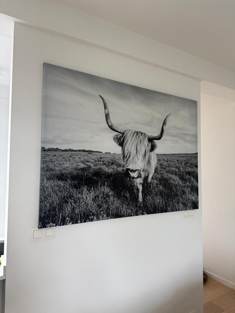 Poster met stier, Antiek en Kunst, Ophalen