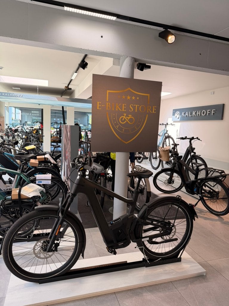 Riese & Müller Delite5 Pinion HS (Speed Pedelec) DEMOFIETS