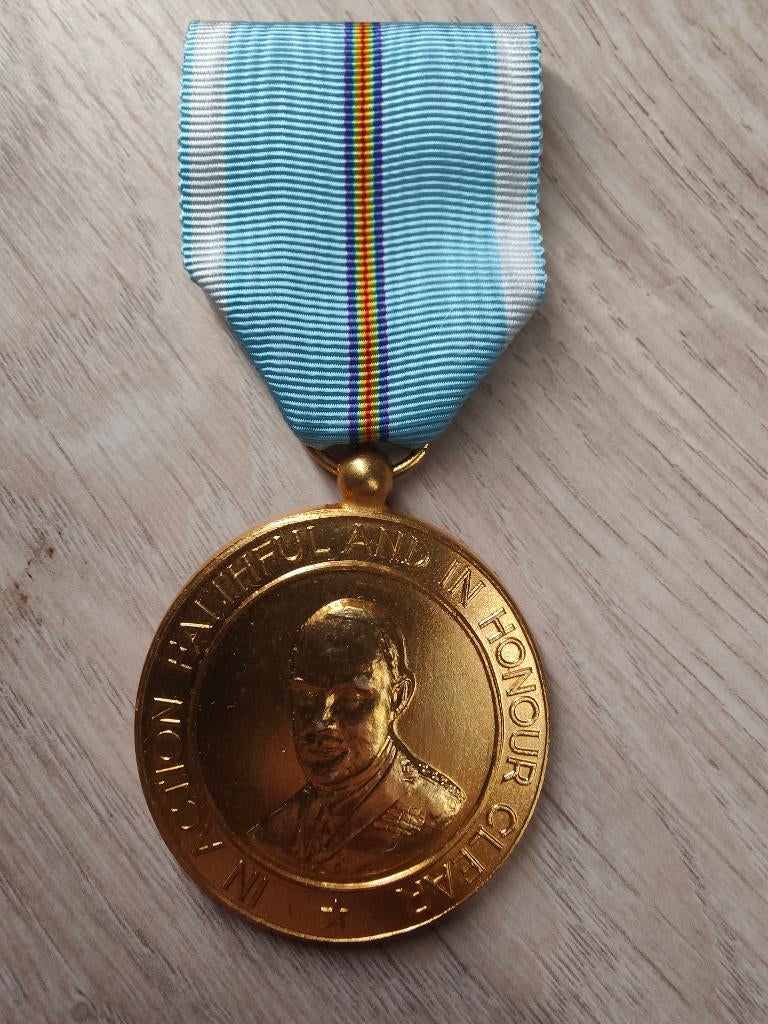 Médaille émise par l'Organisation Militaire, Ophalen of Verzenden