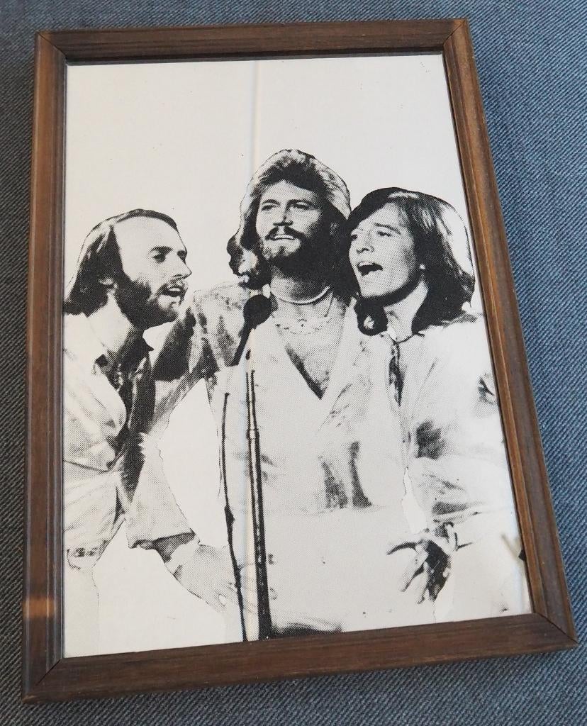 Kader spiegel Bee Gees, Verzamelen, Overige Verzamelen, Ophalen, Gebruikt