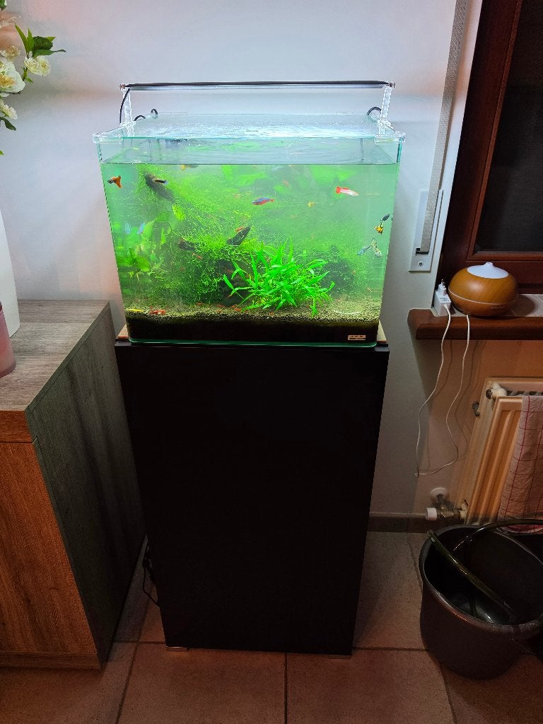 55 liter Aquarium met kast en toebehoren, Enlèvement, Pompe, Filter