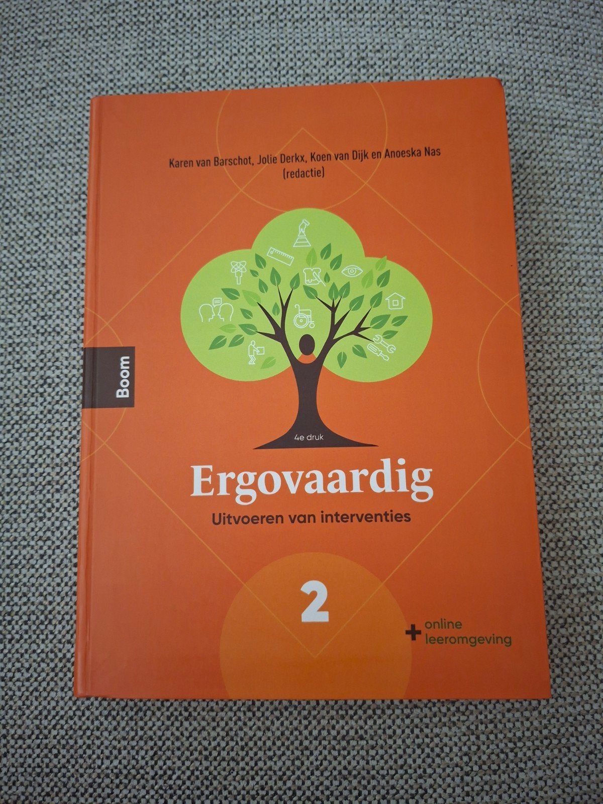 Ergovaardig: uitvoeren van interventies deel 2, Boeken, Advies, Hulp en Training, Ophalen of Verzenden