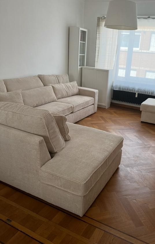 Zetel Calefornia, Antwerpen (stad)
