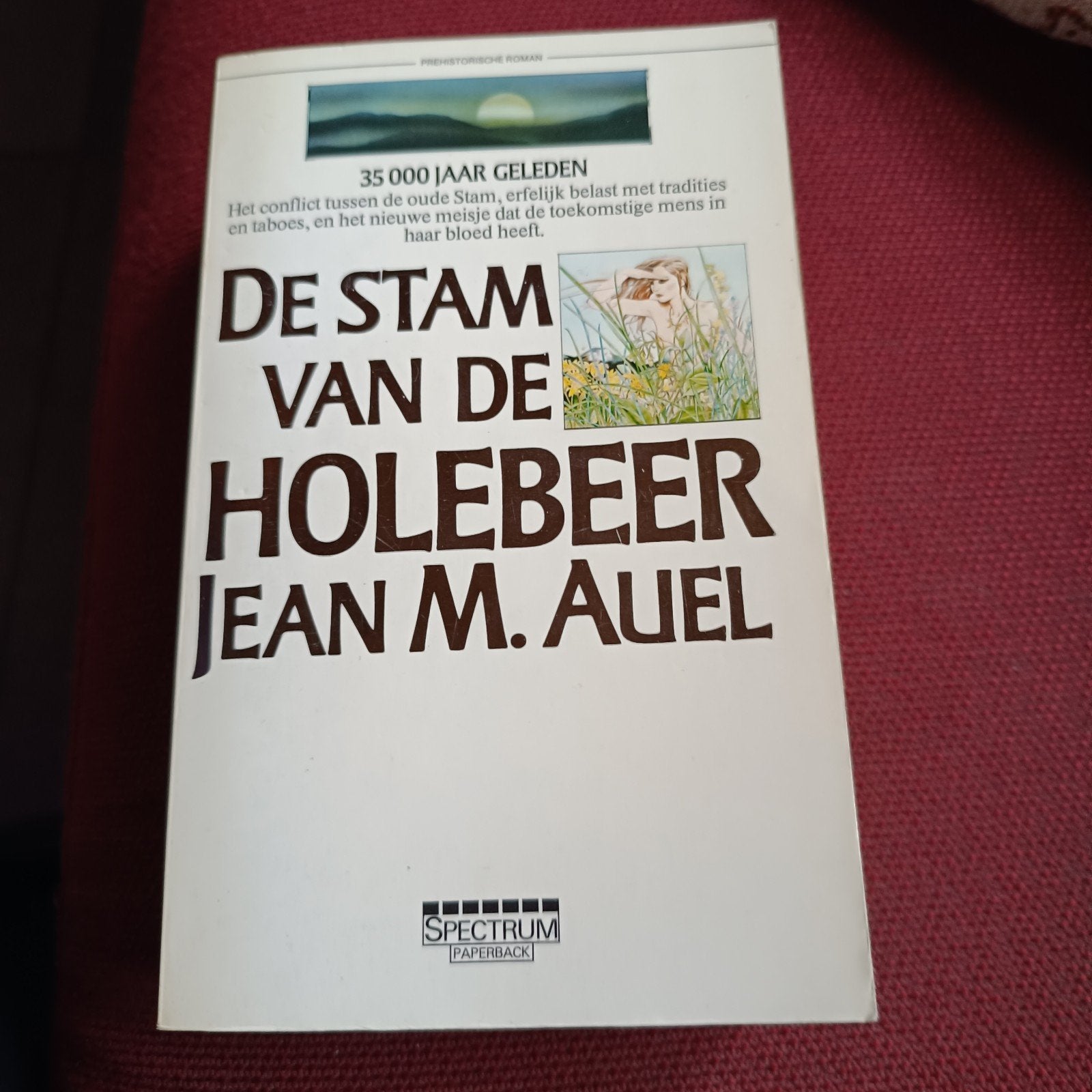 de stam van de holebeer, Boeken, Ophalen of Verzenden