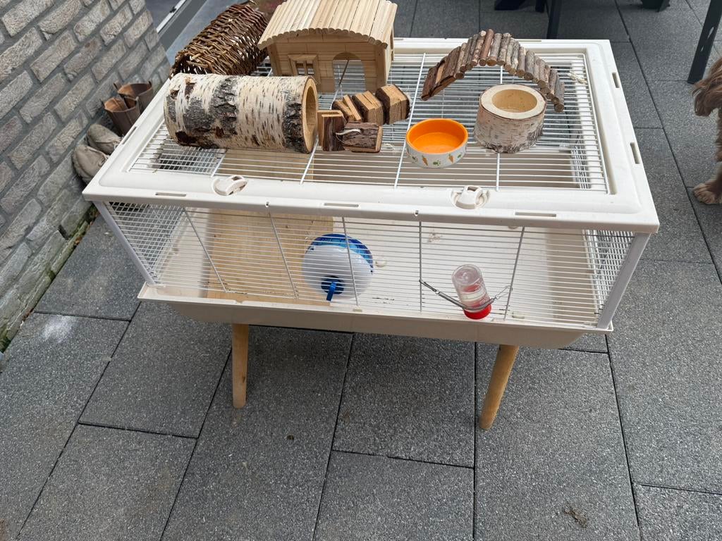Hamster kooi, Dieren en Toebehoren, December, Vrouwelijk