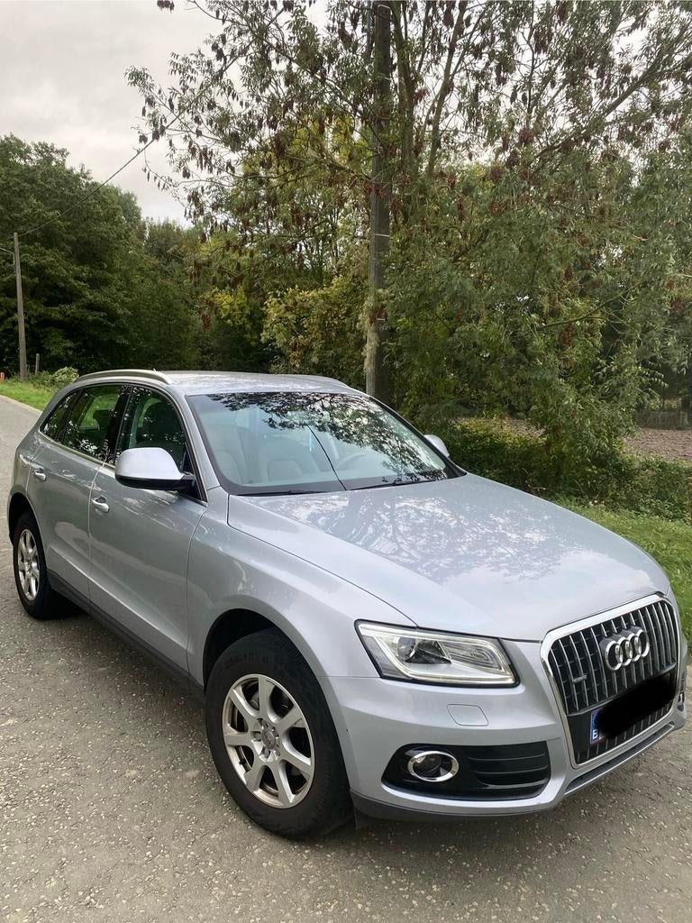 AUDI Q5 2.0 TDI! QUATTRO! EURO 6B!, Autos, Argent ou Gris, Achat, Euro 6, Q5
